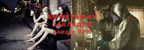 прущие грибы Наволоки
